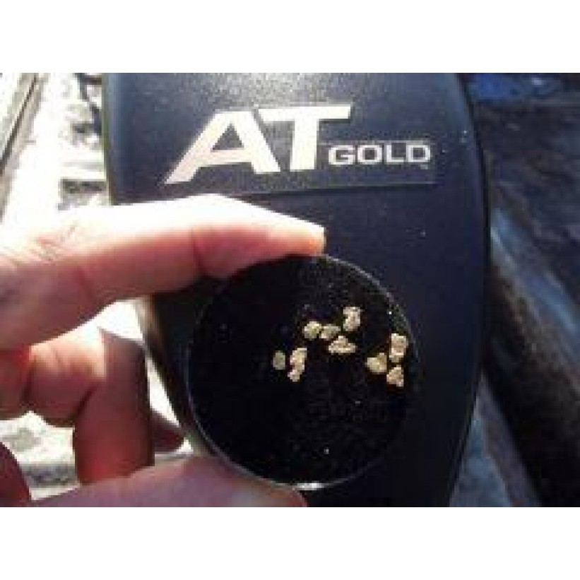 Garrett At Gold Altın Dedektörü - 5x8'' DD Başlıkla